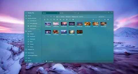 The original Shrestha Files in a teal theme over a snowy background, showing a folder of winter photos