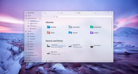The original Shrestha Files in a light theme, showing the This PC page with libraries and drives